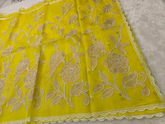 Pure kora organza tissue applique wark saree